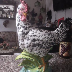 16.5 " Intrada rooster